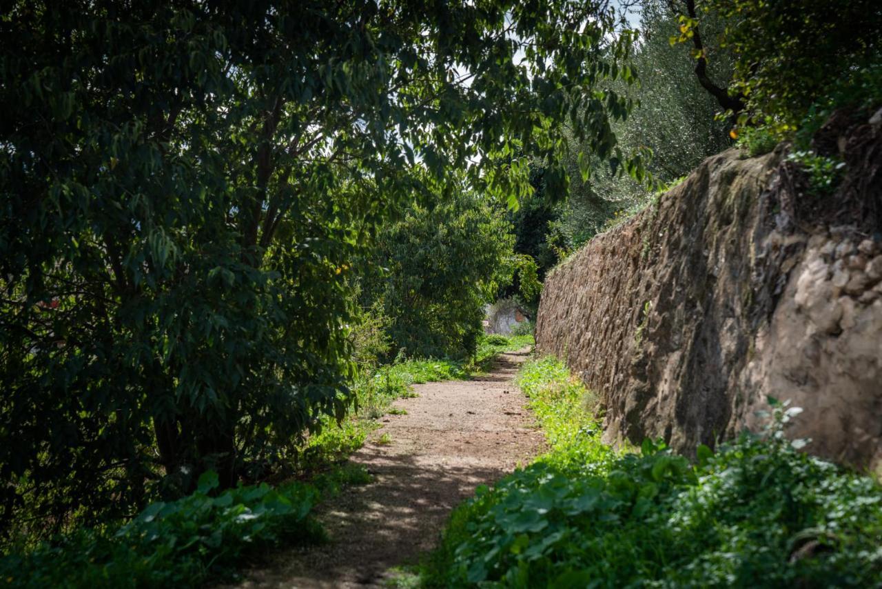 קוסנטיינה 7 Pisos Casa Rural De Pueblo מראה חיצוני תמונה